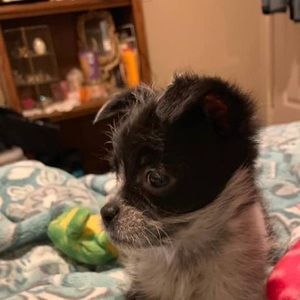 Meet your Posher, Vickie